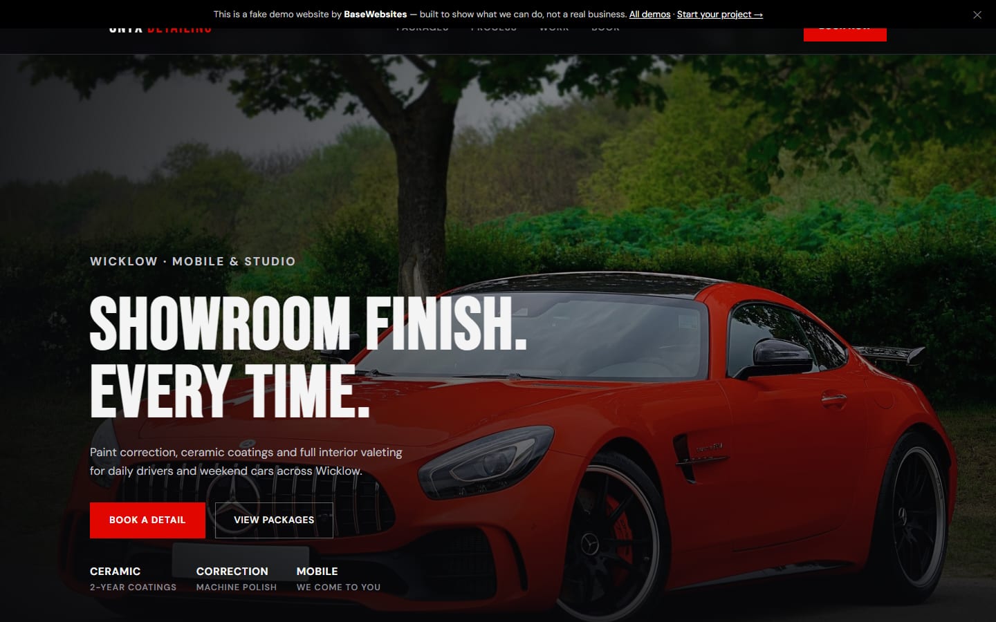 Onyx Auto Detailing sample site hero